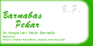 barnabas pekar business card