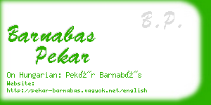 barnabas pekar business card